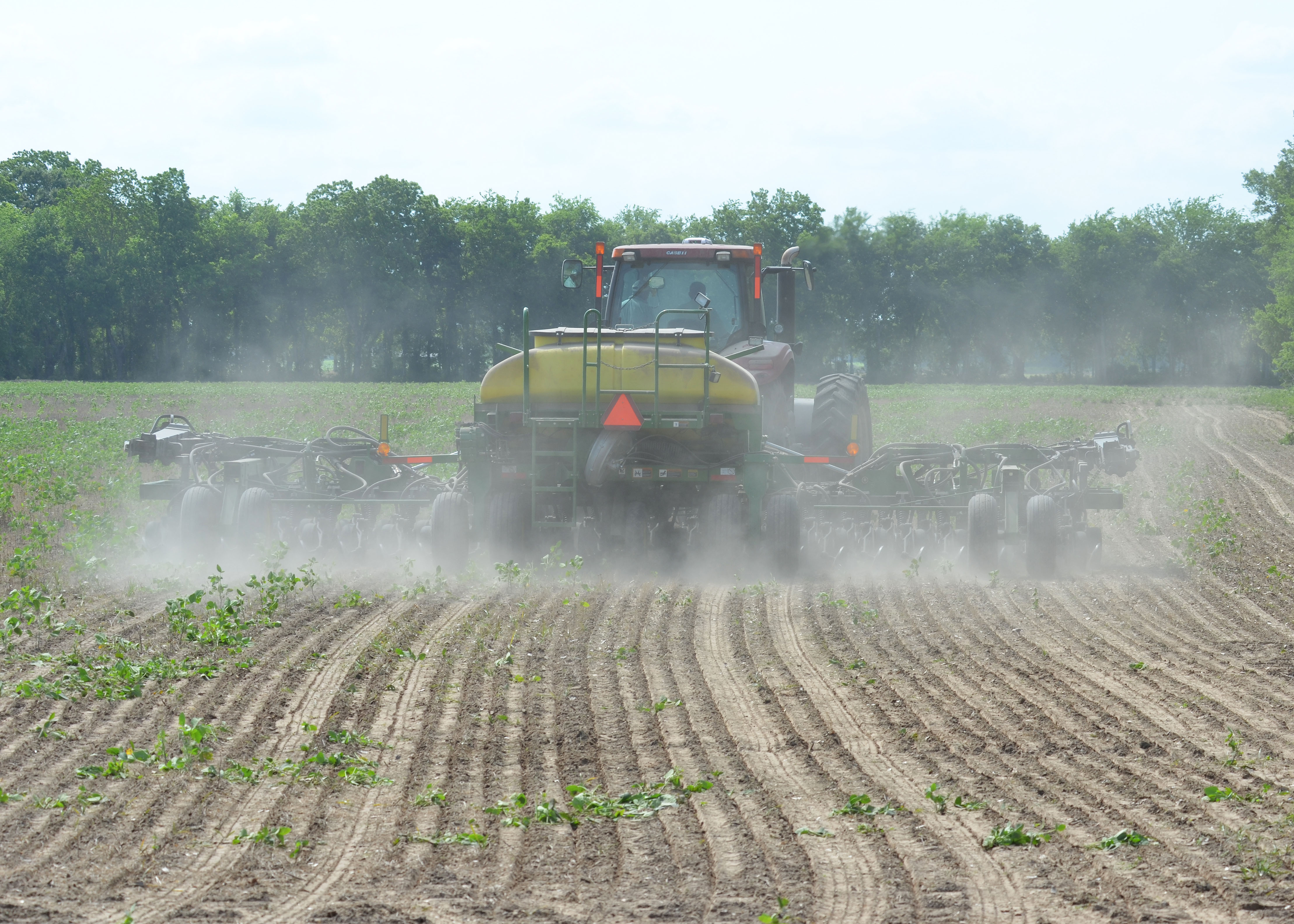 planting near Arnaudville1.jpg thumbnail